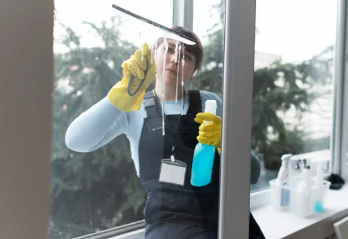 Nettoyage de vitres intérieures et extérieures à Lhommaizé